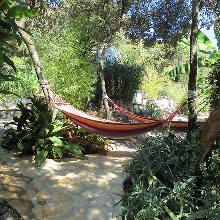 Relax Tiny Villas 40 Meters Of The Beach Zrnovo Buitenkant foto