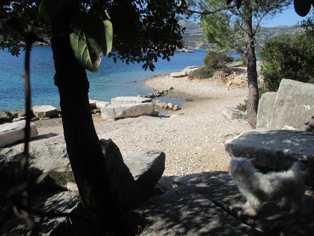 Relax Tiny Villas 40 Meters Of The Beach Zrnovo Buitenkant foto